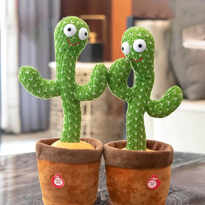 Cactus Bailarin